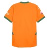 Officiële Voetbalshirt Valencia CF Derde 2024-25 - Heren